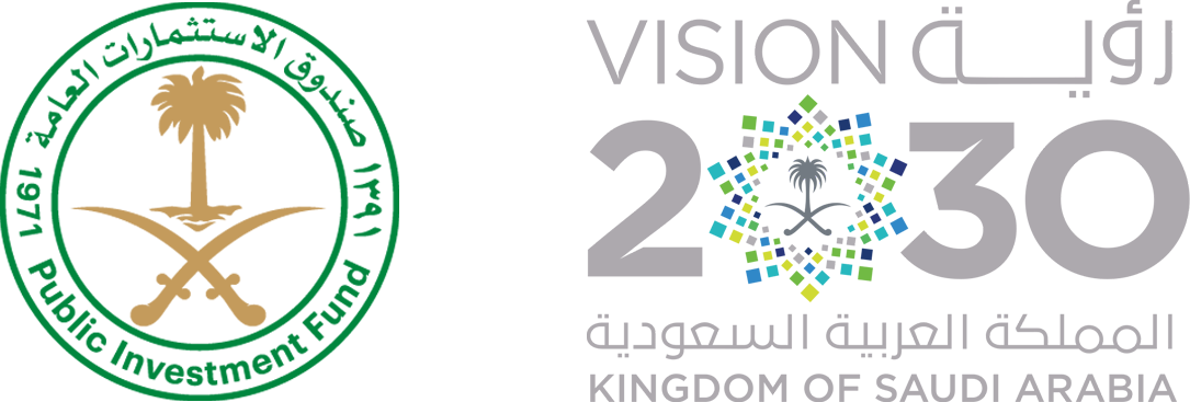 Saudi 2020 Vision